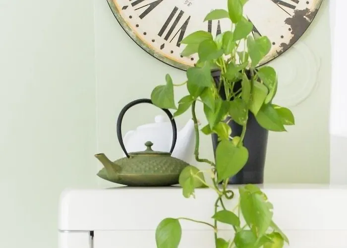 Bed and breakfast Colombo