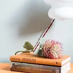 Colombo Bed & Breakfast Mestre