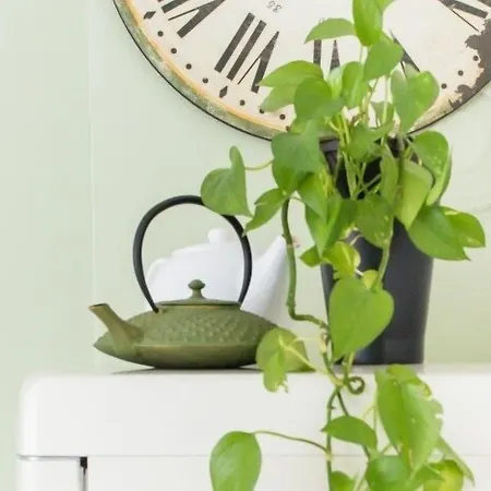 ベッド・アンド・ブレックファスト Colombo